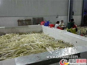 潛江一水產(chǎn)加工廠停水危機(jī)，消防緊急運(yùn)送30噸水解困